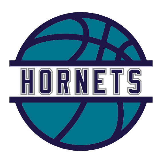 Basketball Charlotte Hornets Logo iron on paper